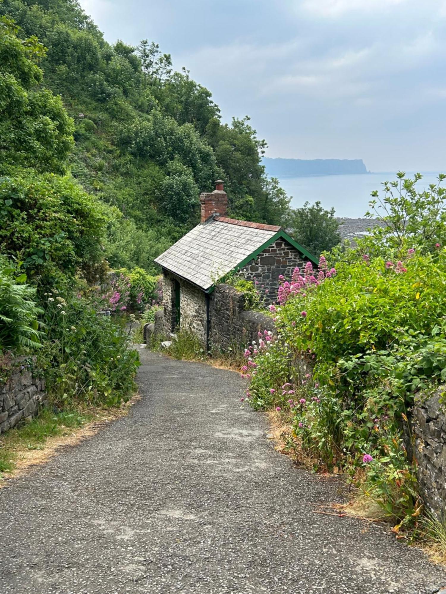 Cosy Boathouse Cottage By The Sea With Log Burner Bucks Mills Exterior foto